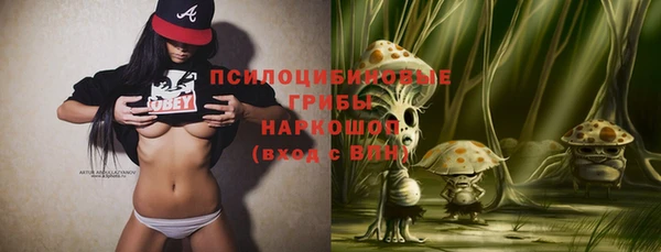 кристаллы Горняк