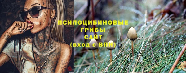 mix Горно-Алтайск