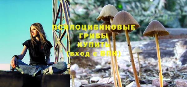меф Горнозаводск